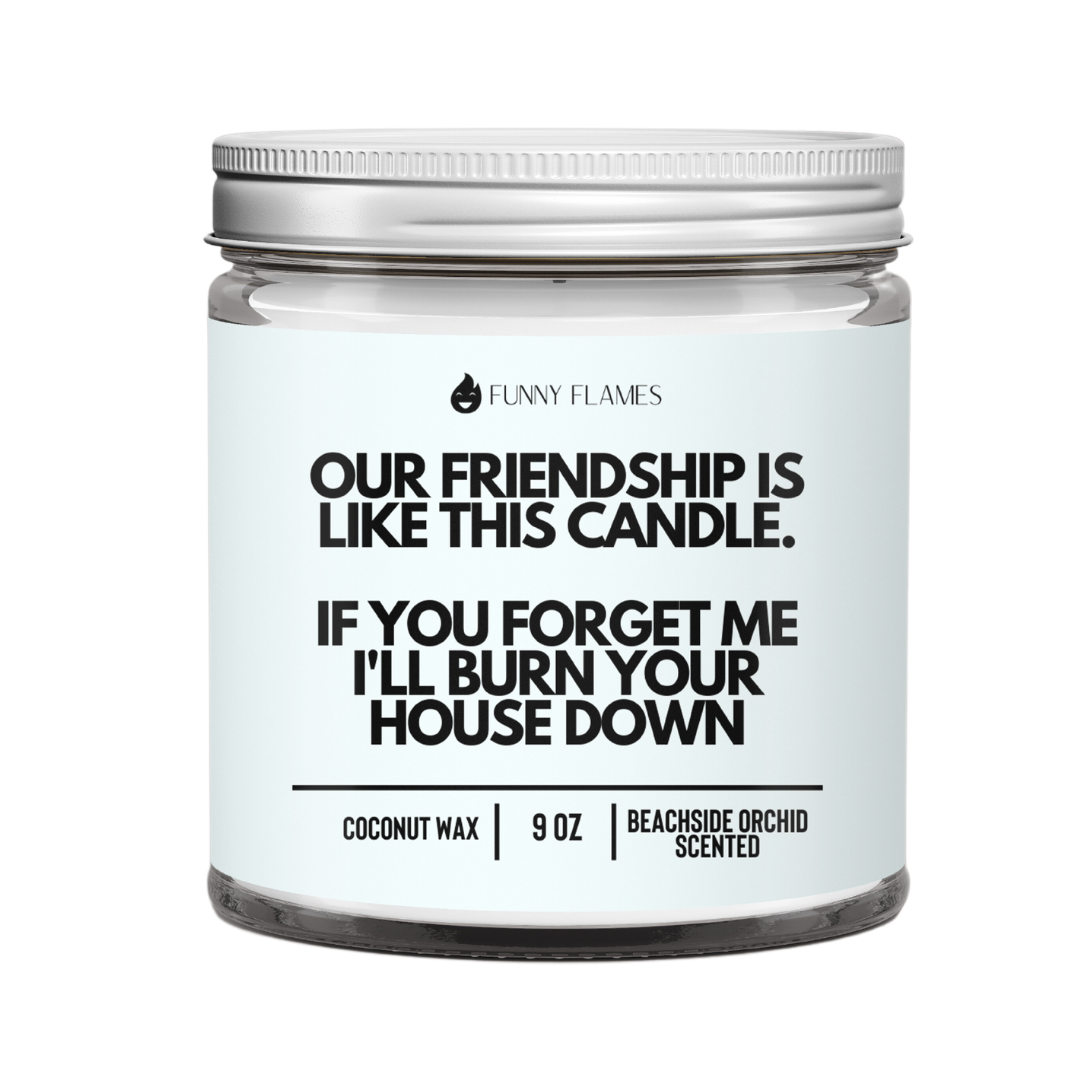 Our Friendship Is Like This Candle if you forget about me i'll burn your house down